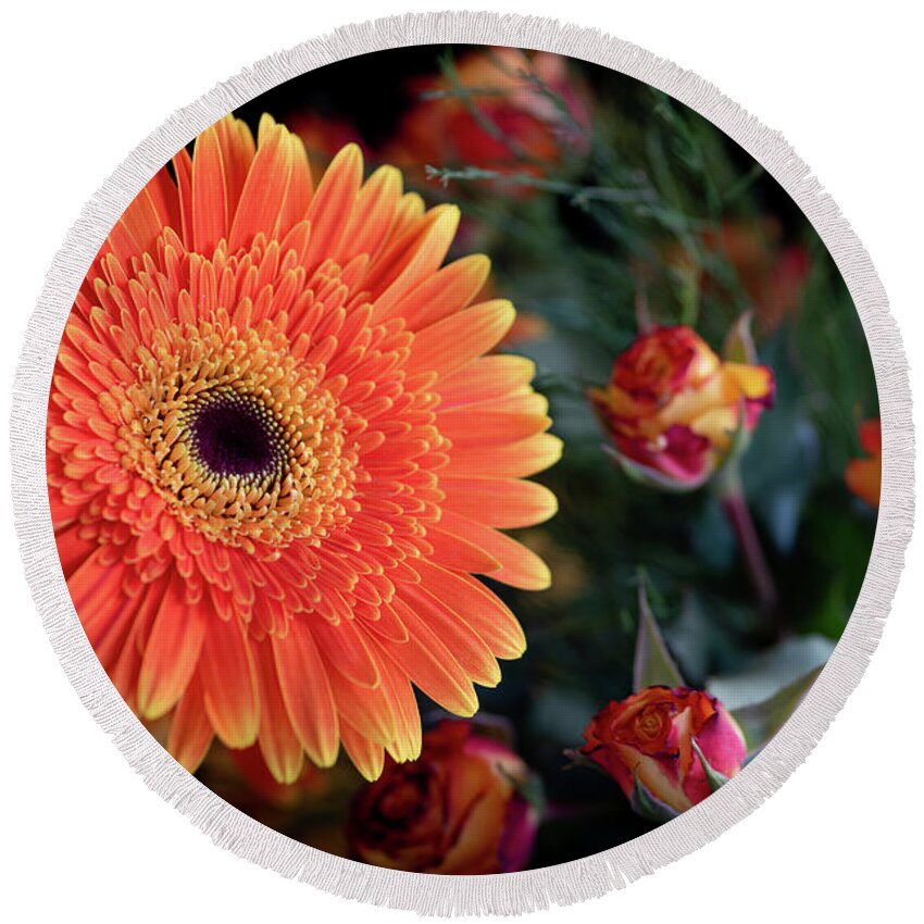 Daisies Round Beach Towel featuring the photograph Fresh beautiful orange daisy flower blossom. Blooming flower by Michalakis Ppalis