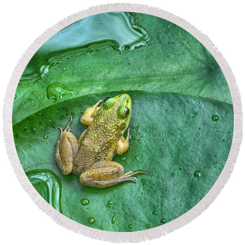 Frog Round Beach Towel featuring the photograph Frog on a Pad by WAZgriffin Digital