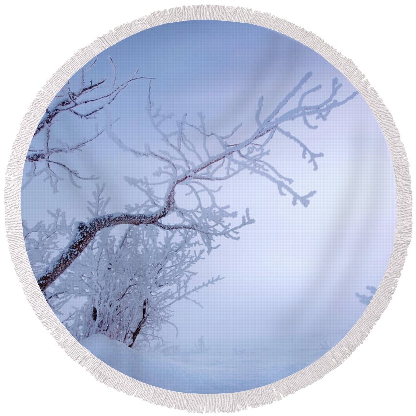 Landscape Round Beach Towel featuring the photograph Frosty Prairie Morning by Dan Jurak