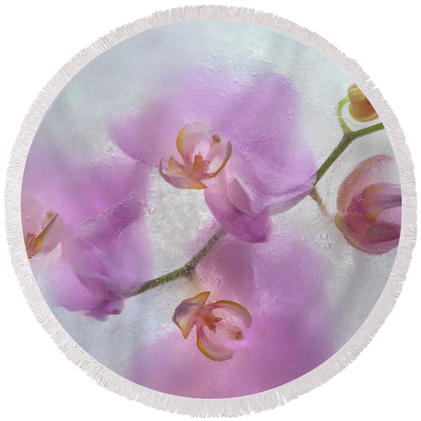 Orchid Round Beach Towel featuring the photograph Frozen Beauty by Elvira Peretsman