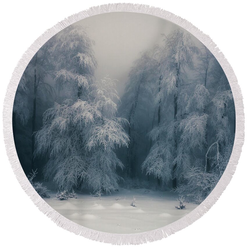 Mountain Round Beach Towel featuring the photograph Frozen Forest by Evgeni Dinev