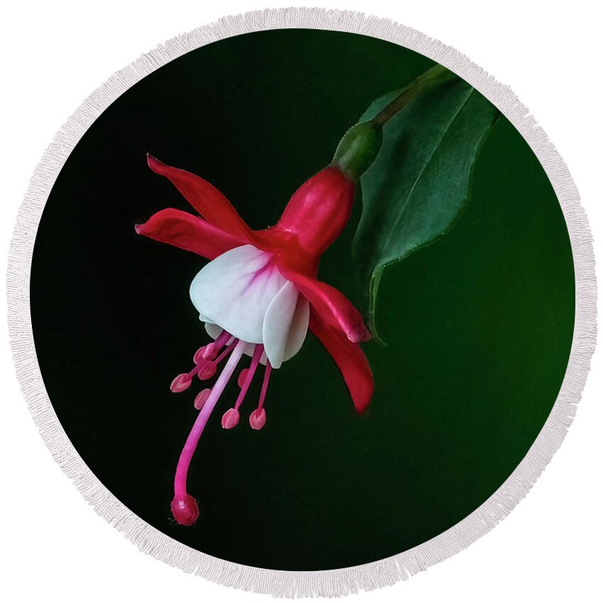 Flower Round Beach Towel featuring the photograph Fuchsia Blossom by Skip Tribby