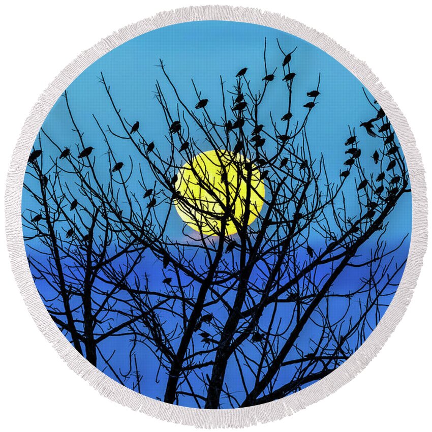 Landscape Round Beach Towel featuring the photograph Full Moon by Bob Orsillo