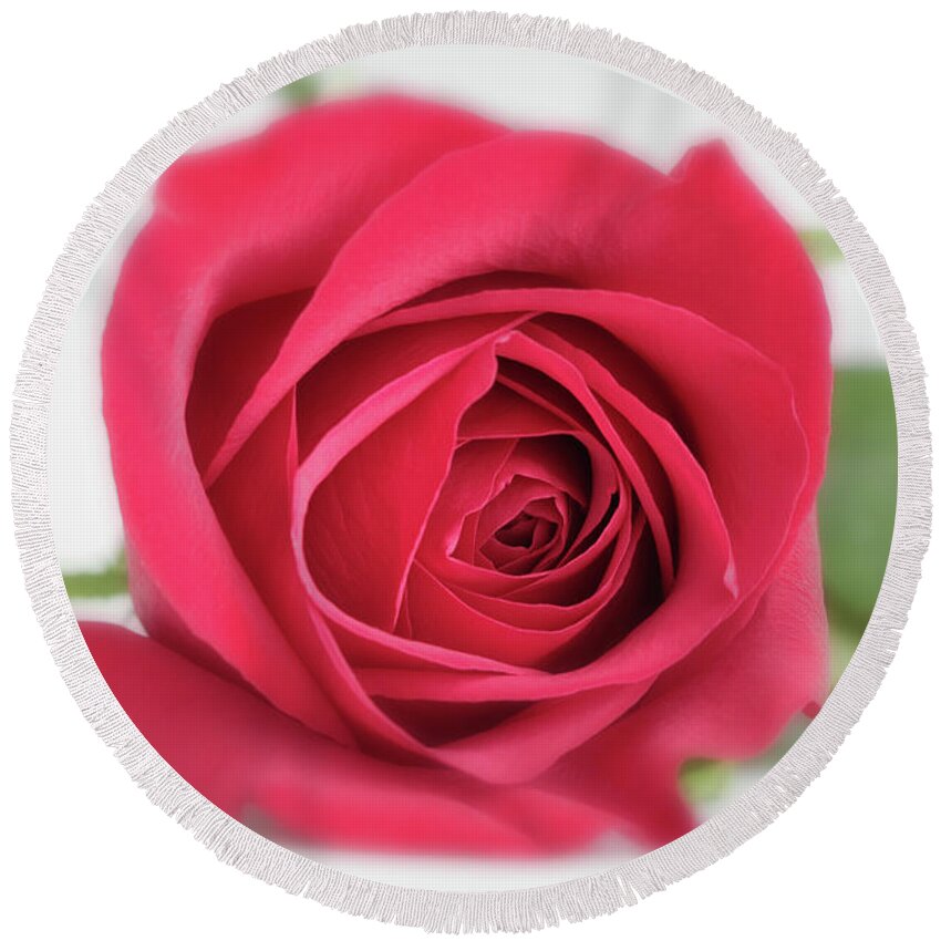 Anita Oakley Round Beach Towel featuring the photograph Gentle Rose by Anita Oakley