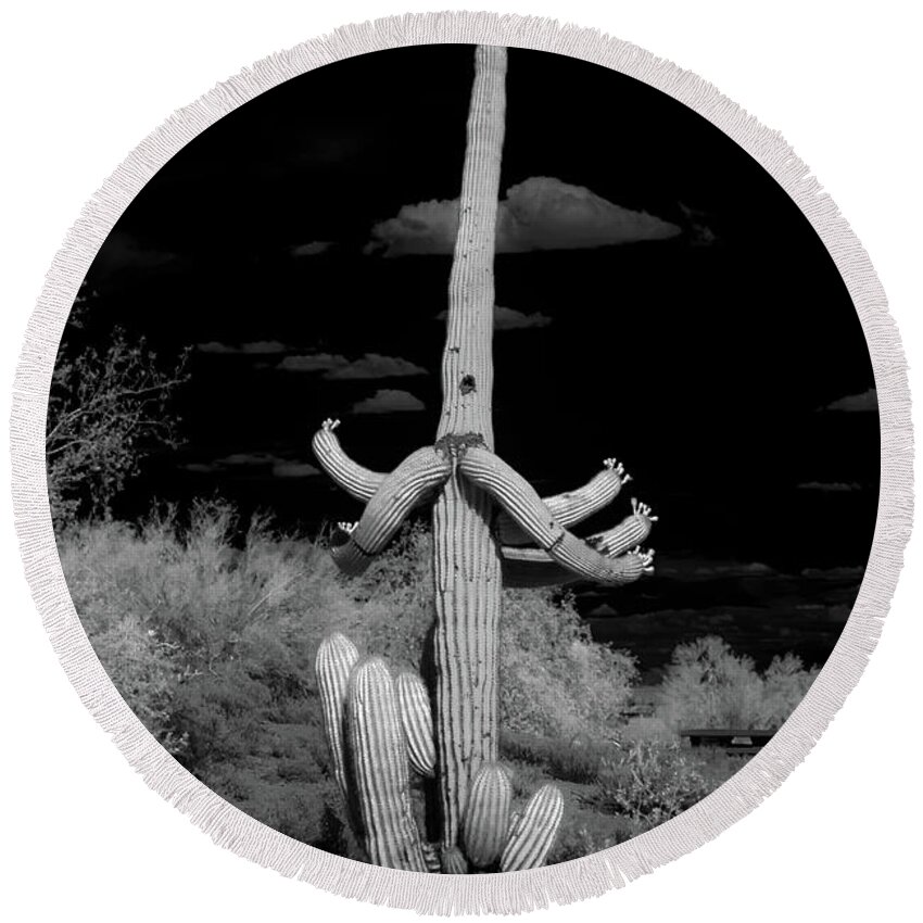 Ir Round Beach Towel featuring the photograph Ghostly Saguaro #1 by Kenneth Johnson