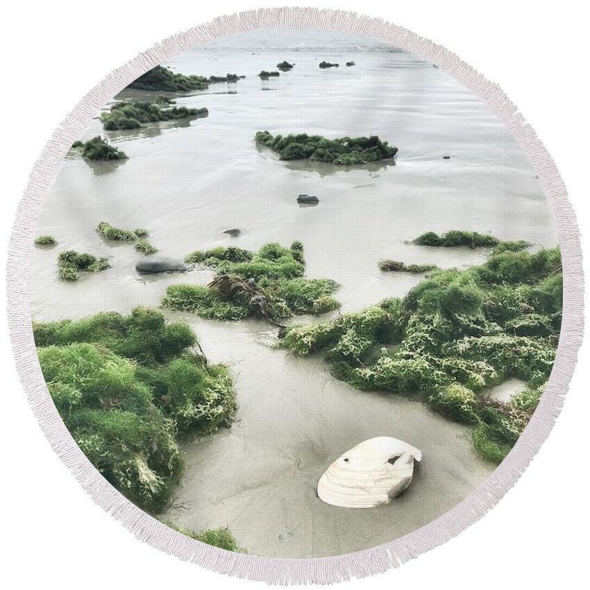 Beach Shell Seashell Seaweed Mist Ocean Spray Round Beach Towel featuring the photograph Gifts from the Sea 2 by Raena Wilson