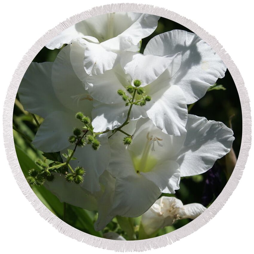  Round Beach Towel featuring the photograph Gladiolus by Heather E Harman