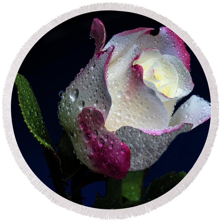 Rose Round Beach Towel featuring the photograph Glitzy by Doug Norkum
