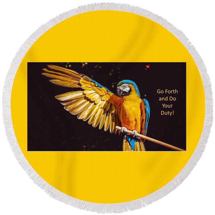 Parrot Round Beach Towel featuring the photograph Go Forth and Do Your Duty by Nancy Ayanna Wyatt