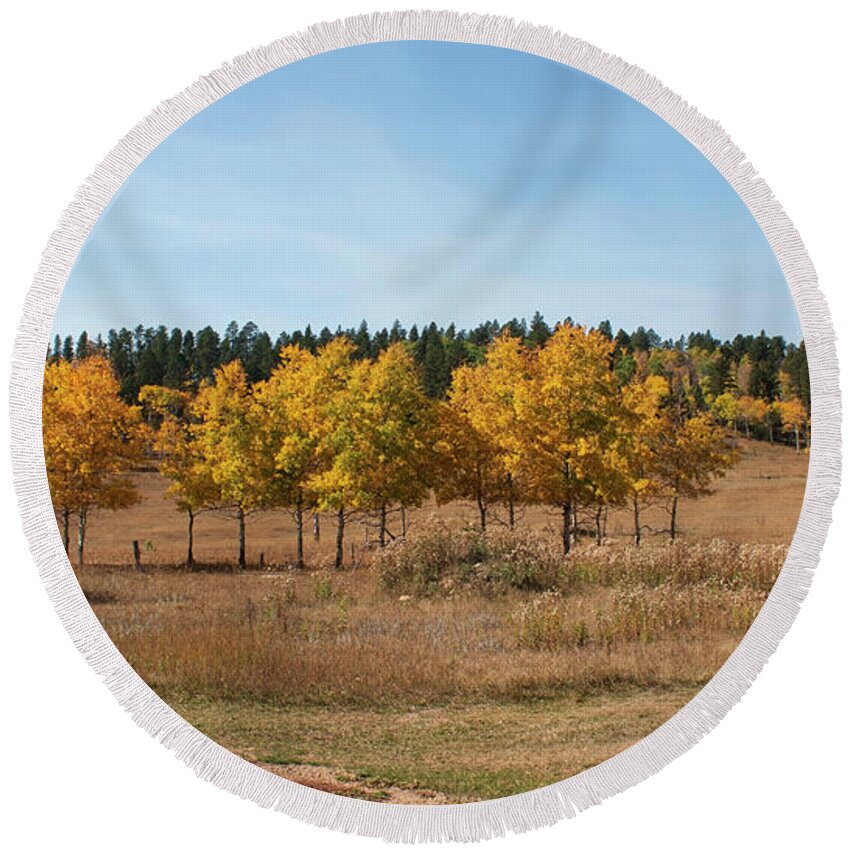 Black Halls Fall Round Beach Towel featuring the photograph Golden Aspens Fall Colors by Cathy Anderson