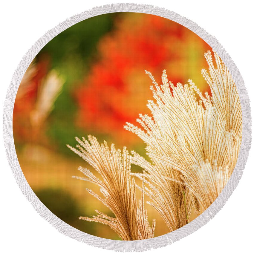 New Hampshire Round Beach Towel featuring the photograph Golden Autumn Grass by Jeff Sinon