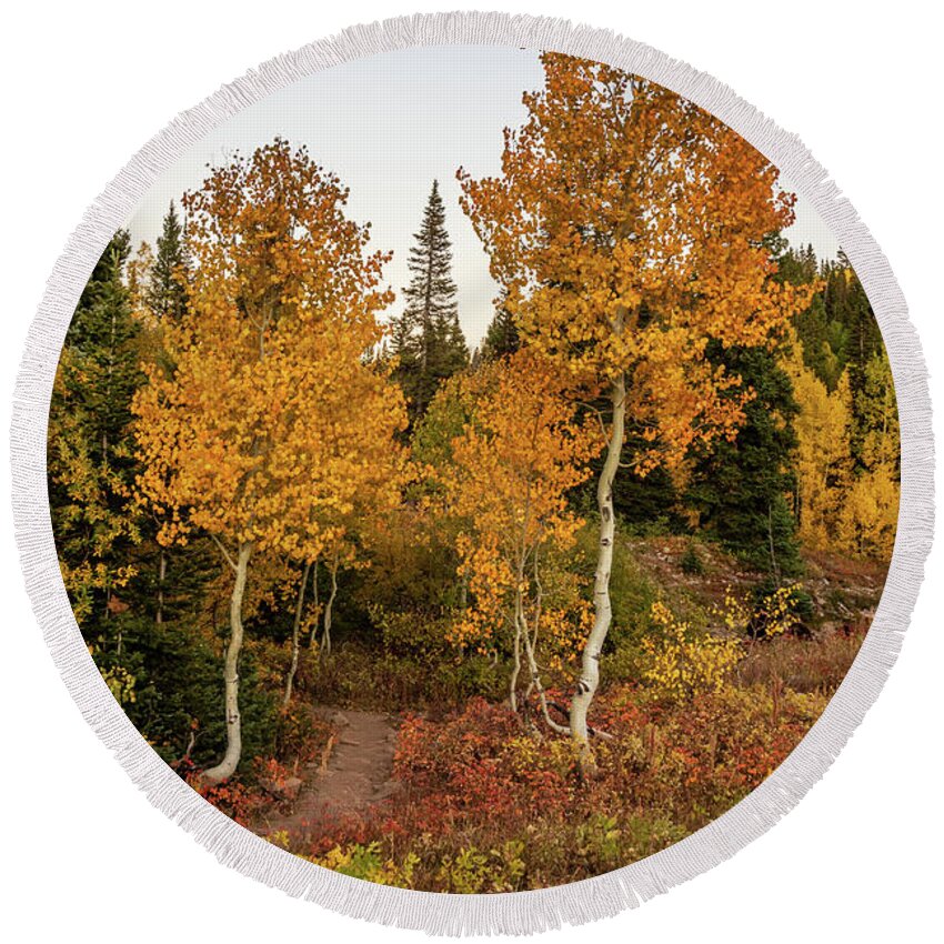 Colorado Round Beach Towel featuring the photograph Golden Path by Jack Clutter