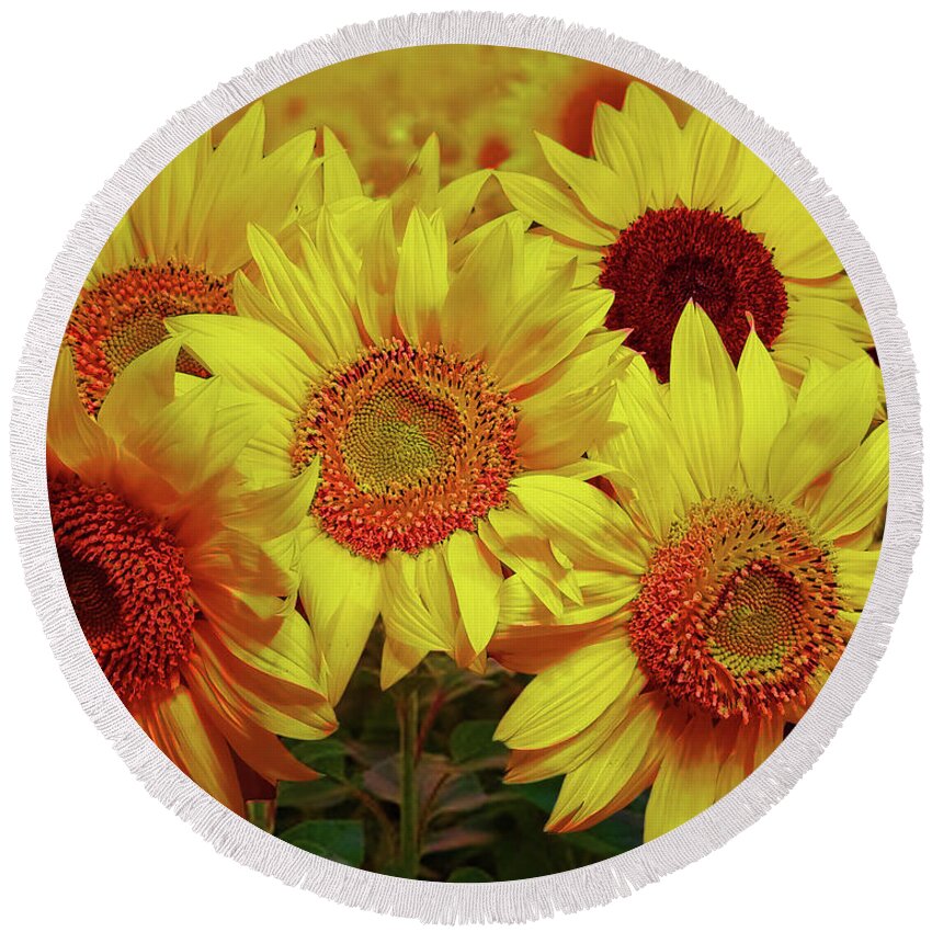 Sunflowers Round Beach Towel featuring the photograph Golden Sunflowers by George Harth