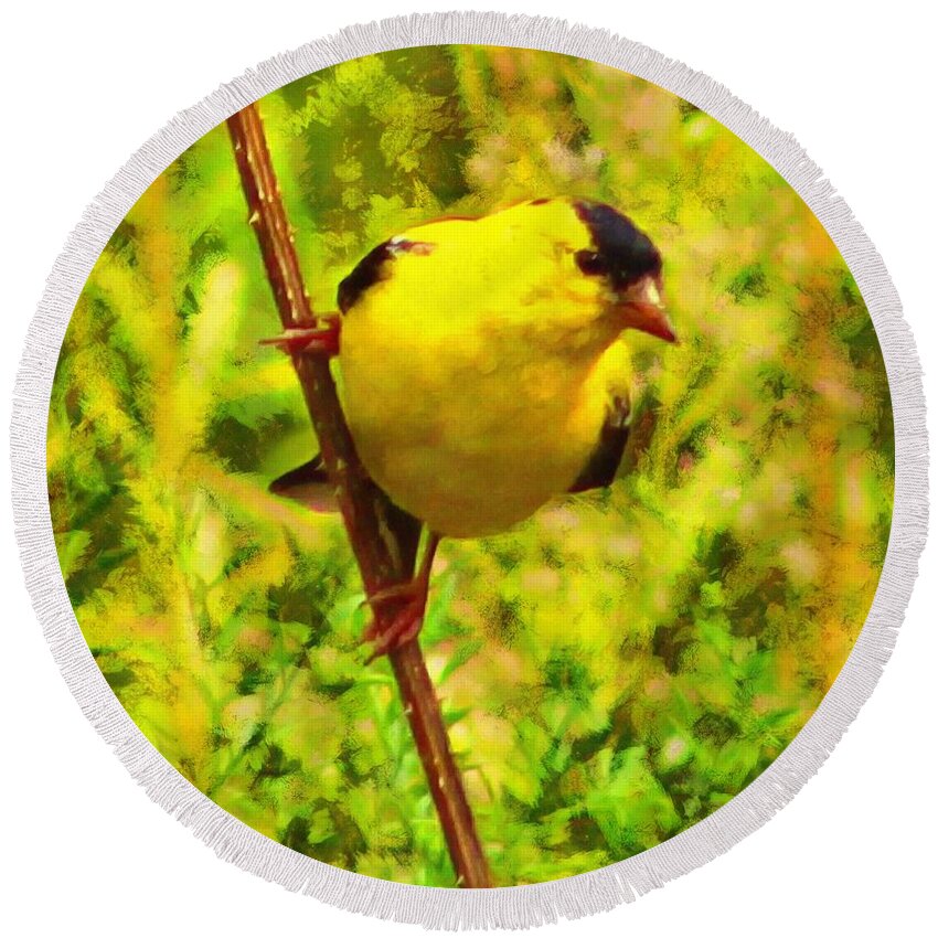 Goldfinch Round Beach Towel featuring the mixed media Goldfinch by Christopher Reed