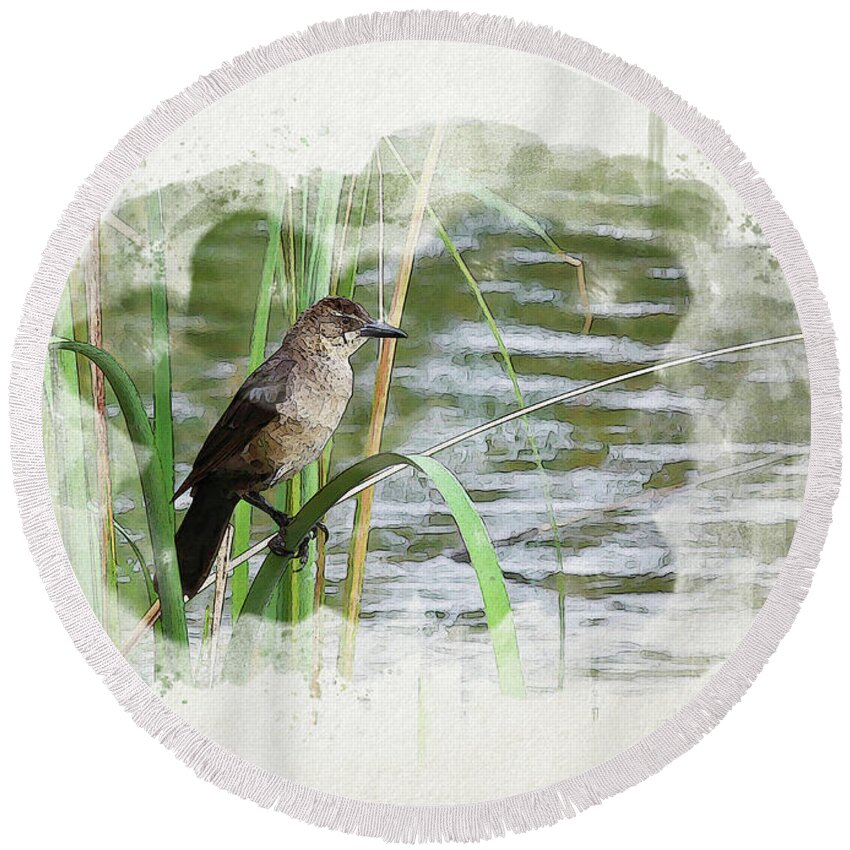 Grackle Round Beach Towel featuring the digital art Grackle by the Lake by Alison Frank