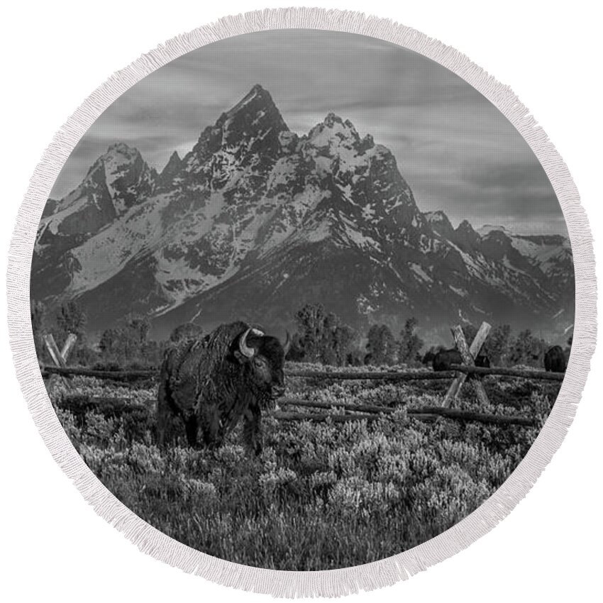  Round Beach Towel featuring the photograph Grand Teton Boss by Kevin Dietrich