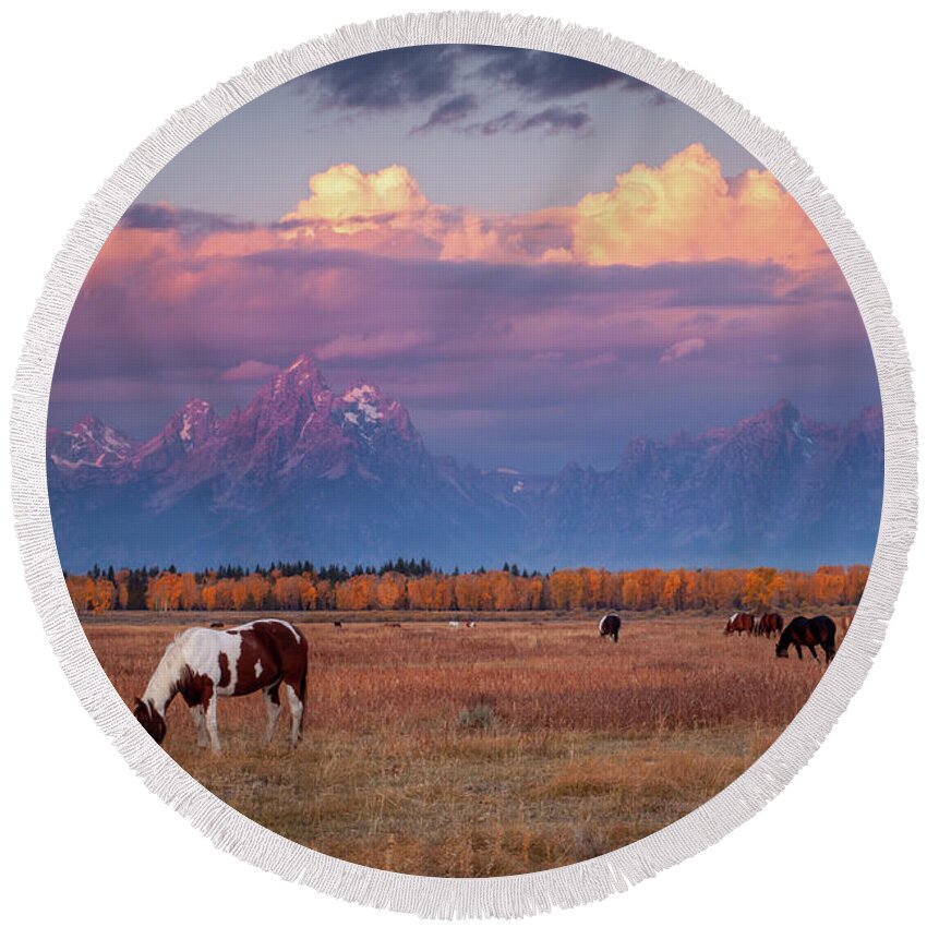Grand Tetons Round Beach Towel featuring the photograph Grand Teton Pasture by Wesley Aston