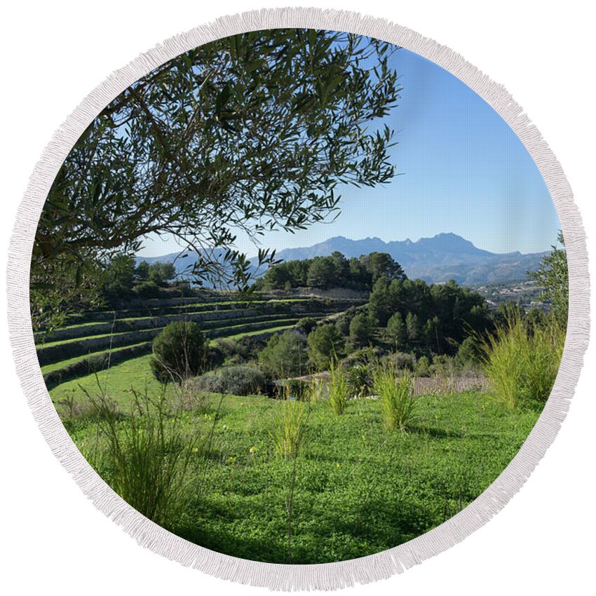 Landscape Round Beach Towel featuring the photograph Grass and clover under the olive tree by Adriana Mueller