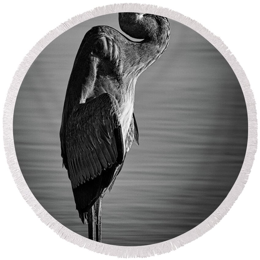 Swan Round Beach Towel featuring the photograph Great Blue Heron In Contemplation by Rene Vasquez