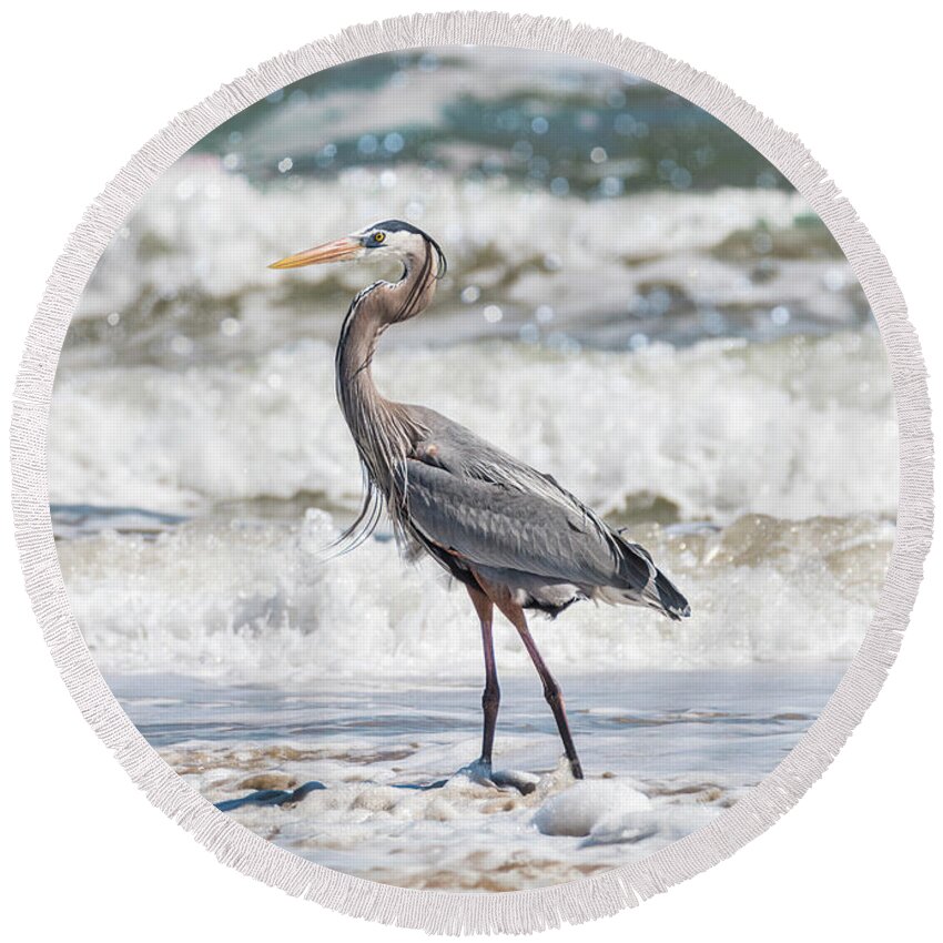 Heron Round Beach Towel featuring the photograph Great Blue Heron Wet Look by Patti Deters