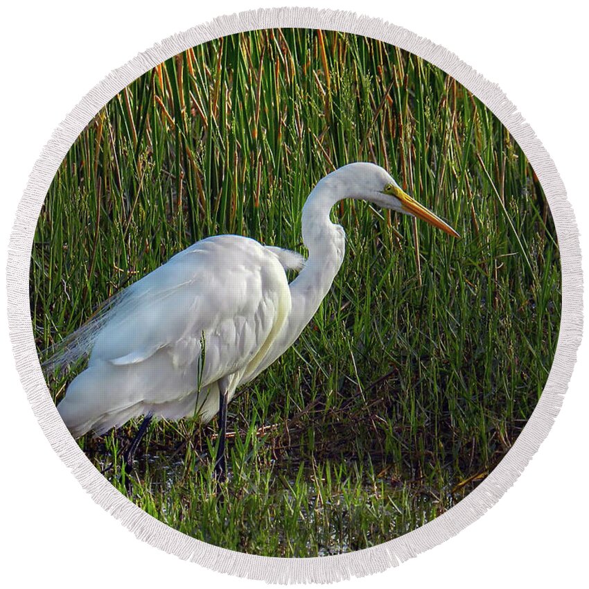 Wildlife Round Beach Towel featuring the photograph Great Egret at Sunset by Laura Putman