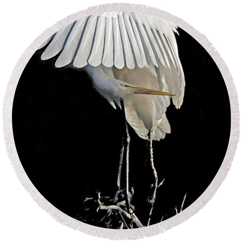 Egret Round Beach Towel featuring the photograph Great Egret Bowing by William Jobes