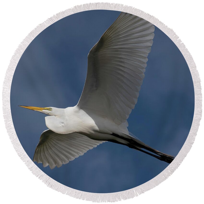 Great Round Beach Towel featuring the photograph Great Egret in Flight by Carolyn Hutchins