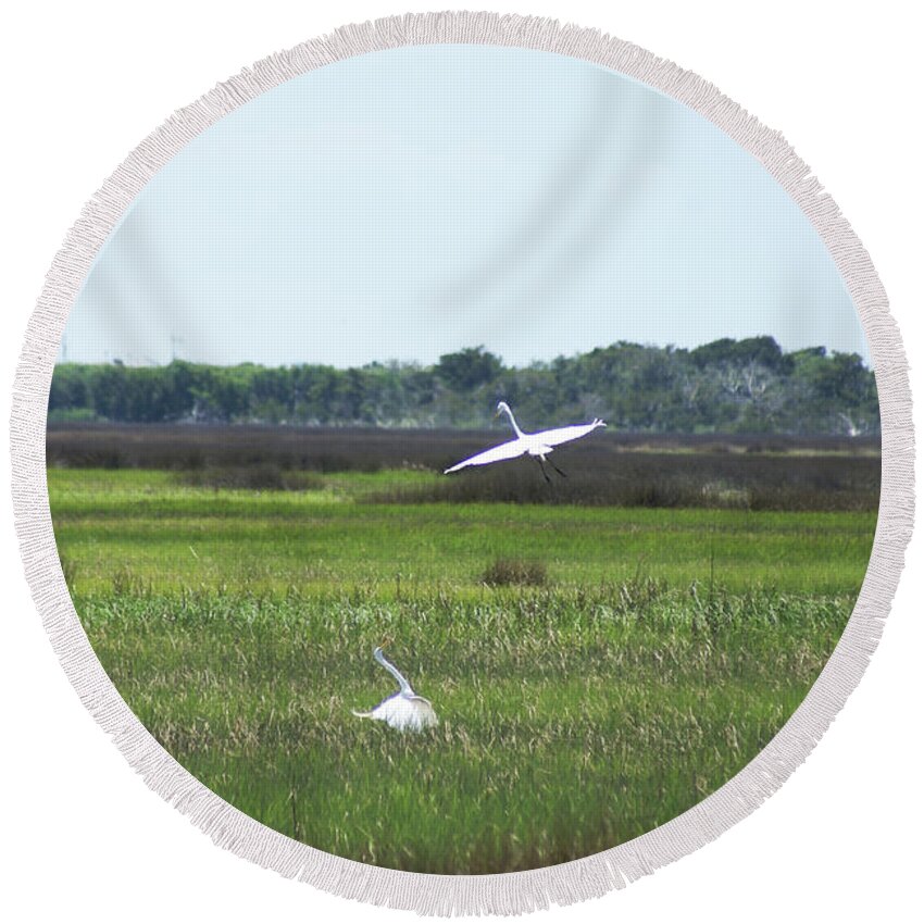  Round Beach Towel featuring the photograph Great Egrets by Heather E Harman