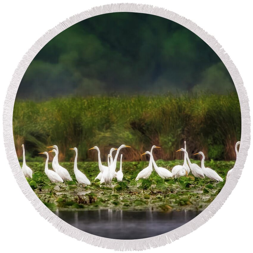 Egrets Round Beach Towel featuring the photograph Great Egrets by Jarrod Erbe