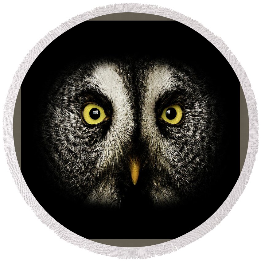 Great Grey Owl Round Beach Towel featuring the photograph Great Grey Owl up close by Weston Westmoreland