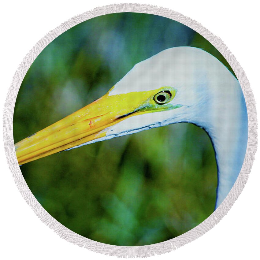 Great White Egret Round Beach Towel featuring the photograph Great white egret profile in arctic blues by Joanne Carey