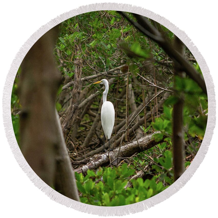 Florida Round Beach Towel featuring the photograph Great White Heron #1 by Marian Tagliarino