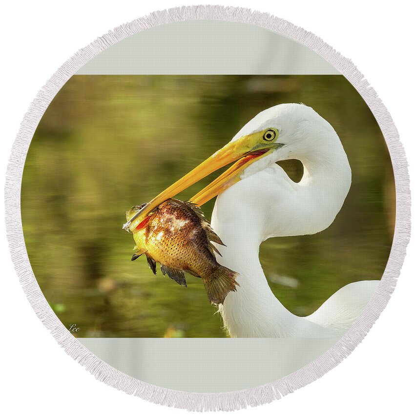 Great White Heron Round Beach Towel featuring the photograph Great White Heron by David Lee