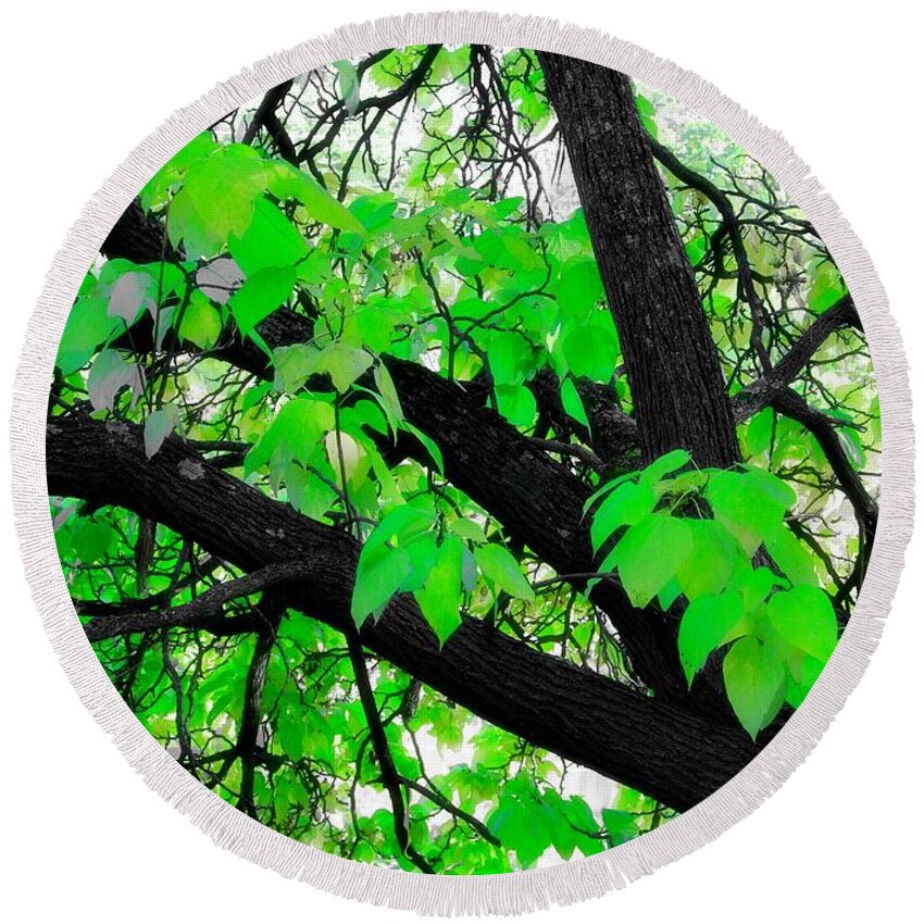 Tree Nature Landscape Round Beach Towel featuring the photograph Green and Serene by Mary Walchuck