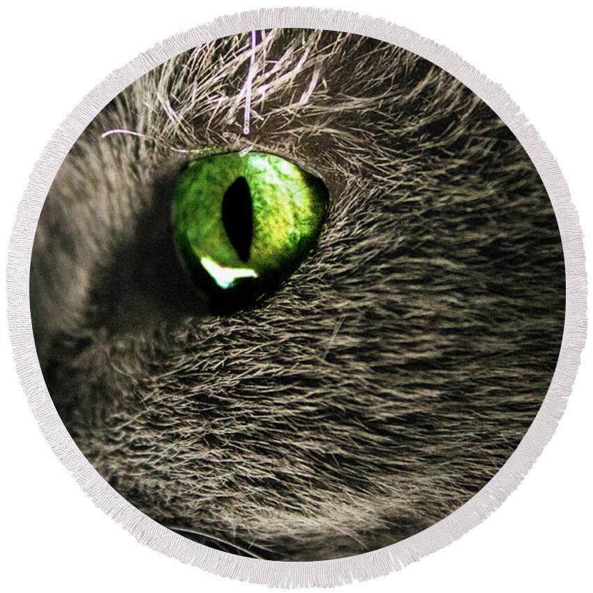  Round Beach Towel featuring the photograph Green Cats Eye by Nicole Engstrom