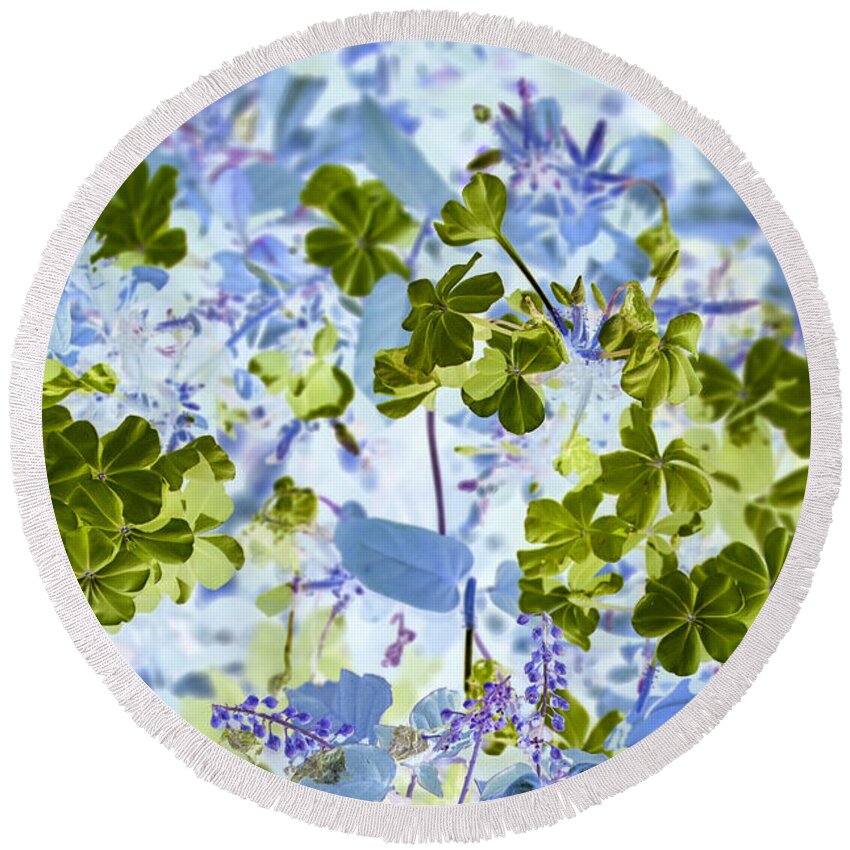 Flower Round Beach Towel featuring the photograph Blooms of Green in Blue by Missy Joy