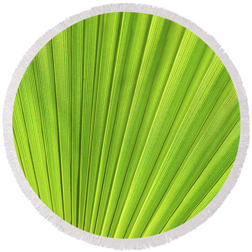 Palm Leaf Round Beach Towel featuring the photograph Green palm leaf and mediterranean sunlight by Adriana Mueller