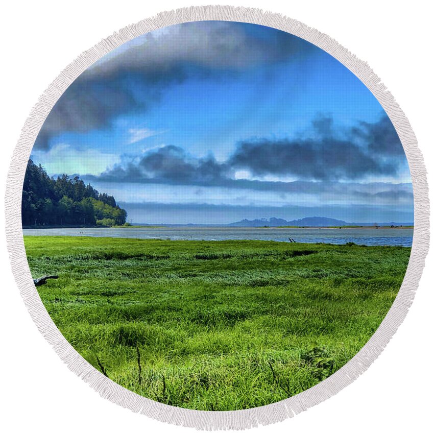 Landscape Round Beach Towel featuring the digital art Green Reed Sea by Chriss Pagani