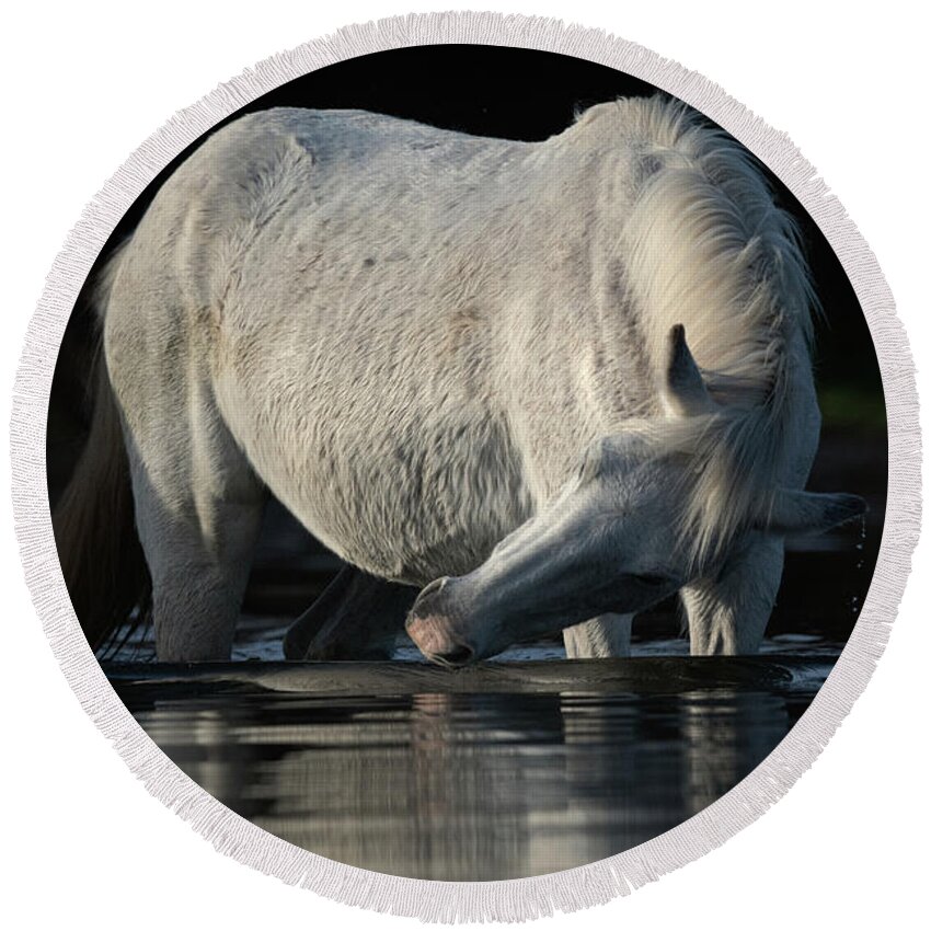 Salt River Wild Horse Round Beach Towel featuring the photograph Grey Beauty by Shannon Hastings