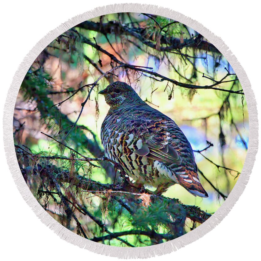 Grouse Round Beach Towel featuring the photograph Grouse on Tree by Thomas Nay
