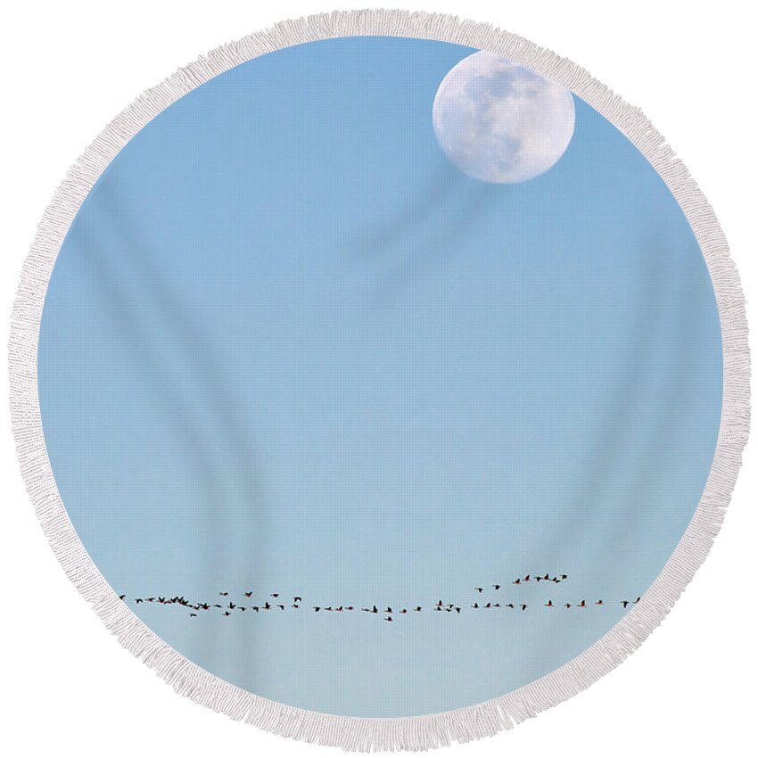 Dramatic Round Beach Towel featuring the photograph Guidance by Doug Gibbons