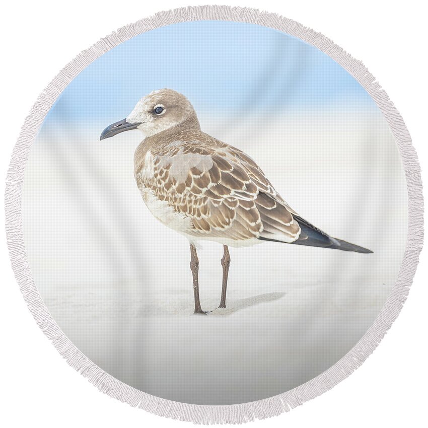 Seagull Round Beach Towel featuring the photograph Gull In The Sand Florida Emerald Coast by Jordan Hill