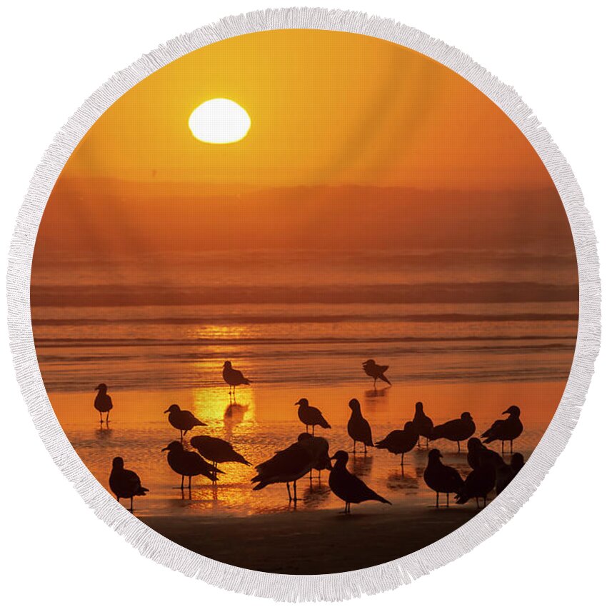 Animals Round Beach Towel featuring the photograph Gull Silhouettes on Sand by Robert Potts