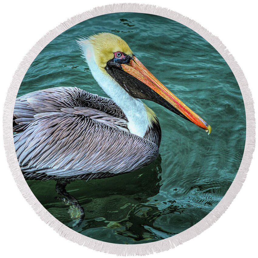 Birds Round Beach Towel featuring the photograph Handsome Pelican by Debra and Dave Vanderlaan