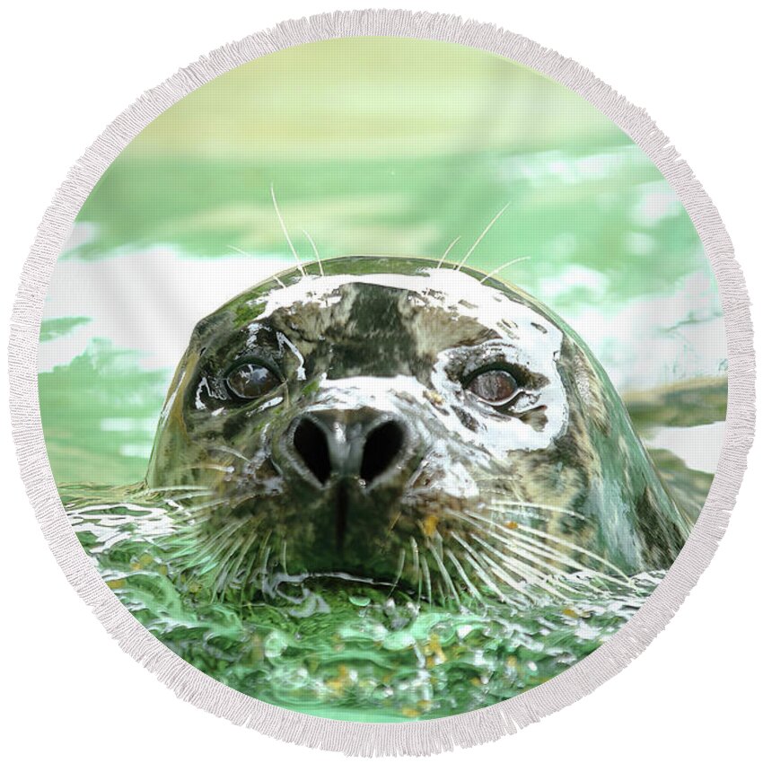 Harbor Seal Round Beach Towel featuring the photograph Harbor Seal by Lens Art Photography By Larry Trager