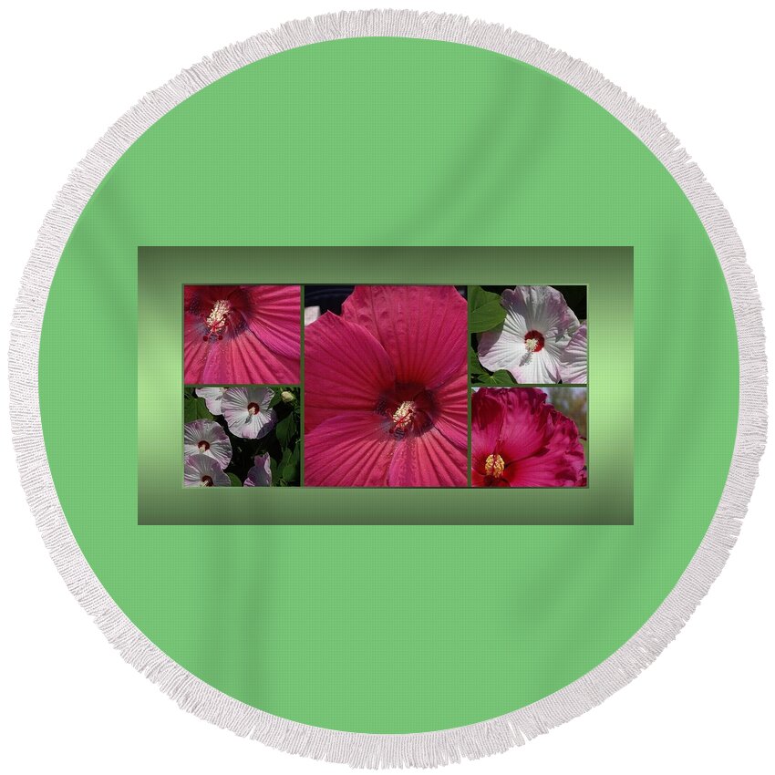 Hibiscus Round Beach Towel featuring the photograph Hardy Hibiscus by Nancy Ayanna Wyatt