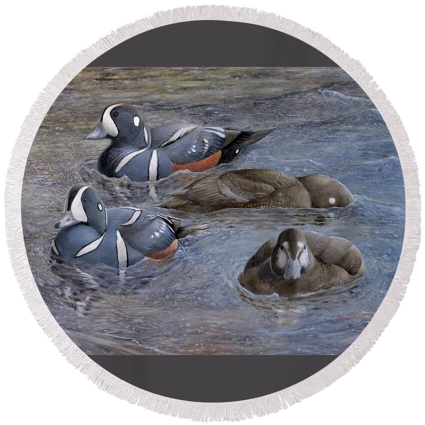 Harlequin Duck Round Beach Towel featuring the painting Harlequin Ducks by Barry Kent MacKay