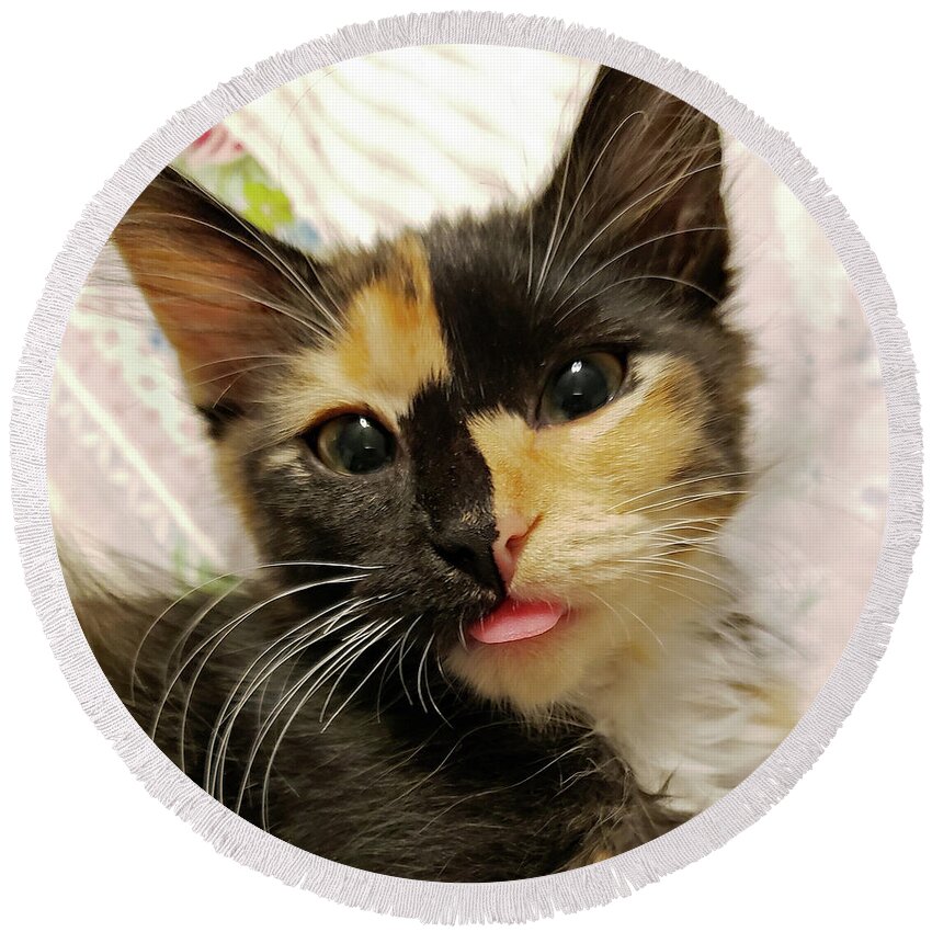 Kitten; Cute Kitten; Cat; Cute Cat; Tortoiseshell; Calico; Cute; Animal; Pet; Funny; Tongue; Silly; Happy; Square Round Beach Towel featuring the photograph Harlequin by Tina Uihlein