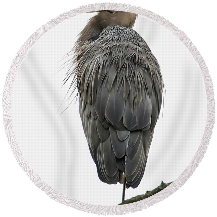 Heron Round Beach Towel featuring the photograph Harold the Heron by Brian Shoemaker