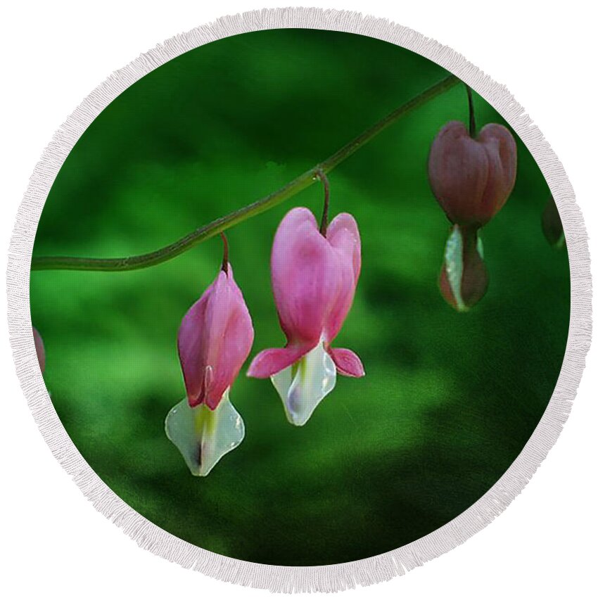 Dicentra Round Beach Towel featuring the photograph Hearts of Spring by Moira Law